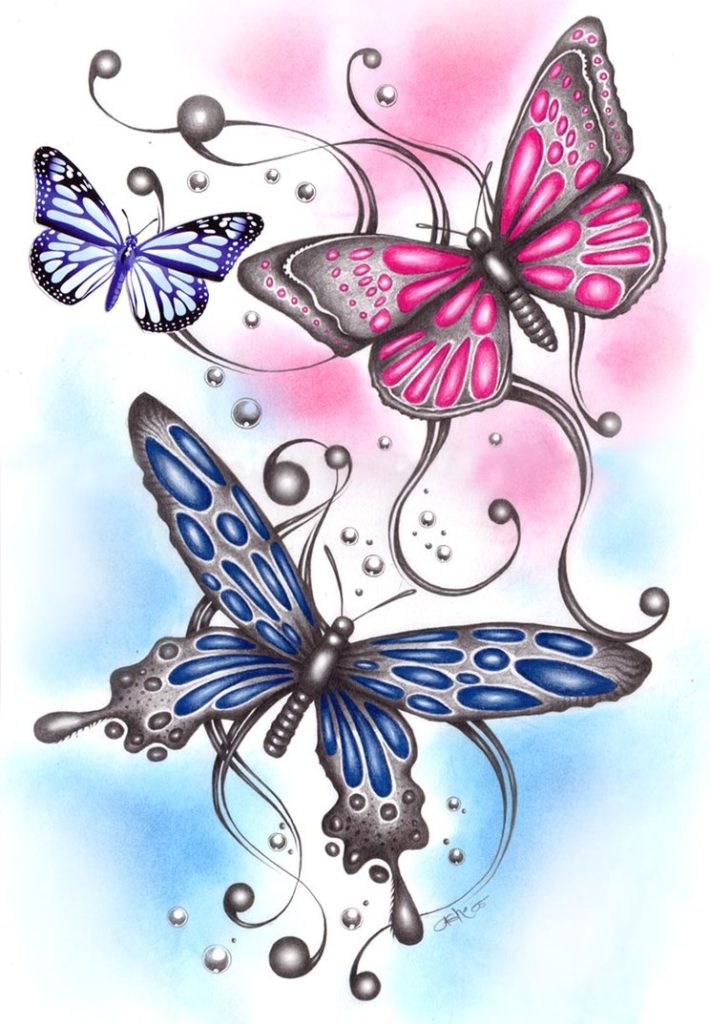 3-butterflies