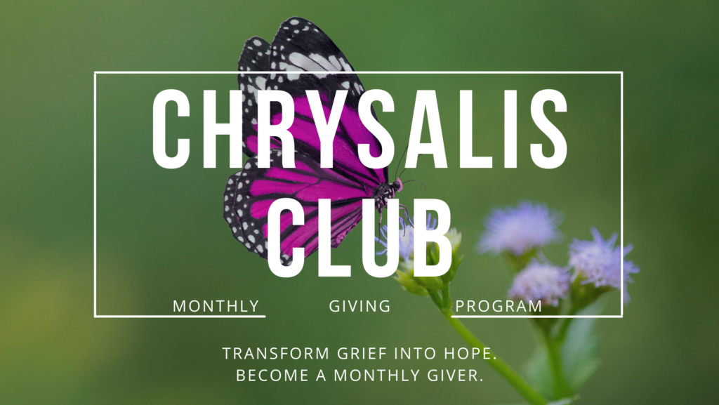 Chrysalis-Club