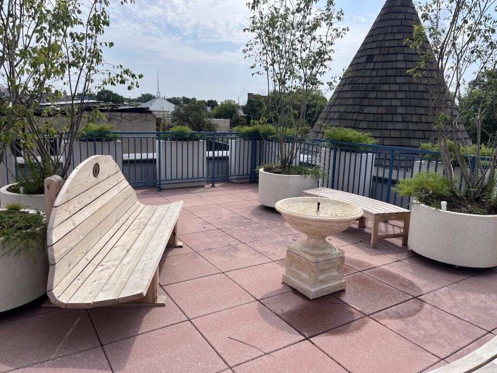 rooftop-garden-robeertas-house rooftop-garden-robeertas-house